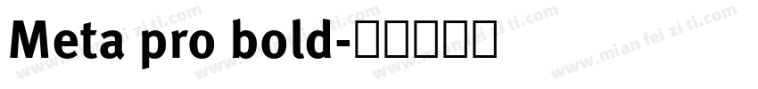 Meta pro bold字体转换